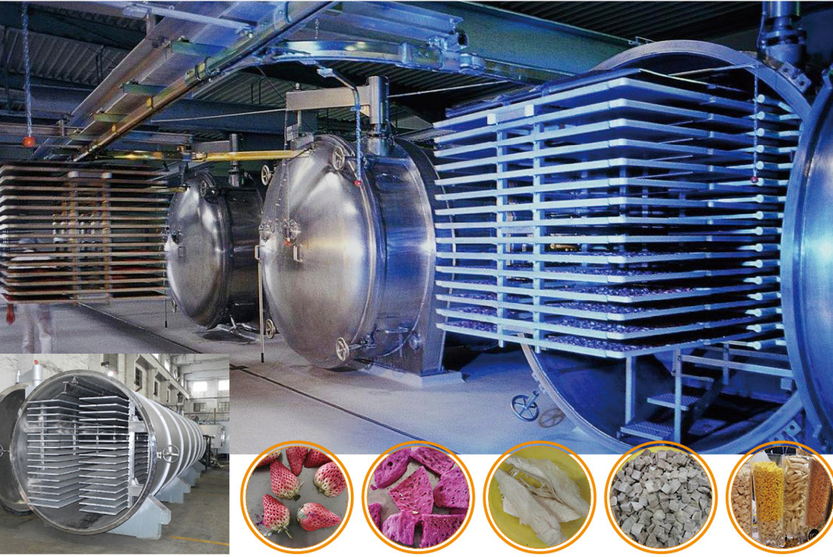 Freeze Dryer